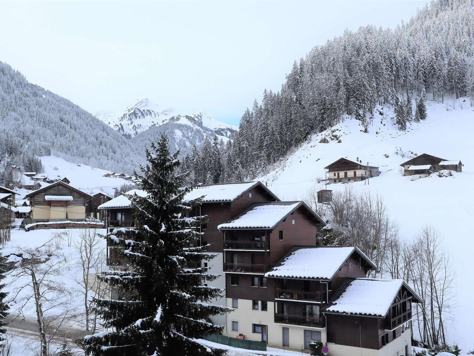 Appartement Cosy Pour 4, Au Coeur Du Village, Proche Des Pistes Et Avec Piscine Estivale - Fr-1-342-173 Areches Exterior photo